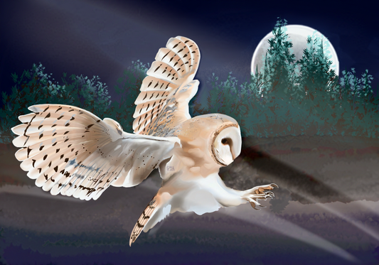 Moonlit Down - Print