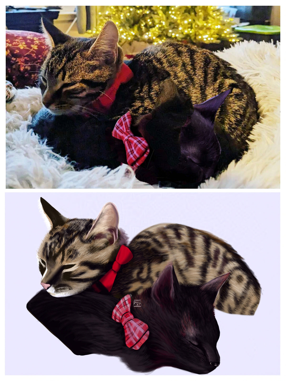 Digital Pet Portrait Commission
