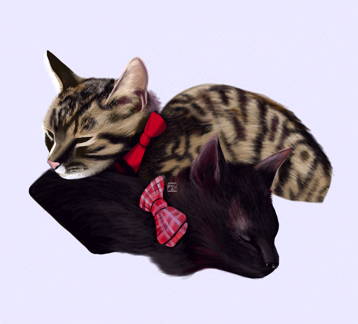 Digital Pet Portrait Commission