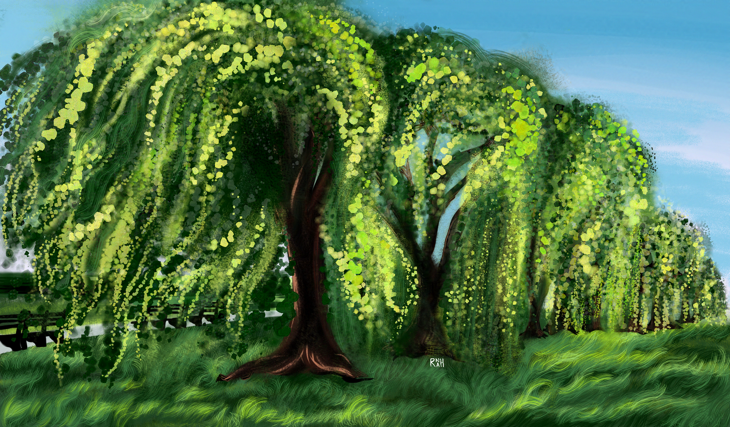 Dancing Willows - Print